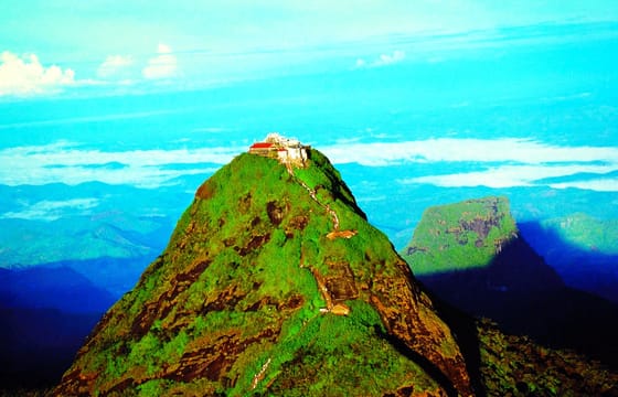 SAFARI ADAM’S PEAK