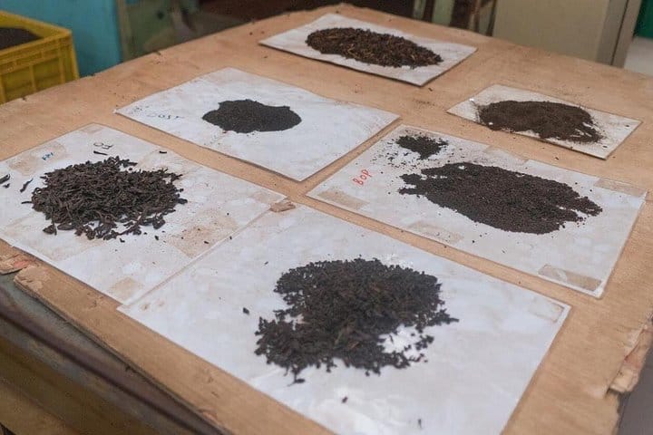 The Secret Escapes | 14 Days