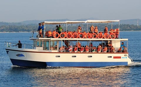 Whale Watching Tour from Galle to Mirissa, Sri Lanka