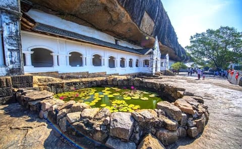 Sigiriya Rock Fortress and Cave Temples Private Day Trip