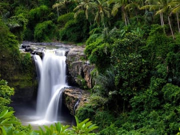 Best of Ubud Waterfalls Private Tour