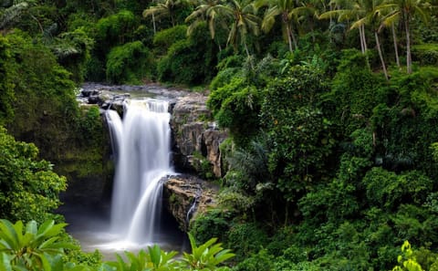 Best of Ubud Waterfalls Private Tour