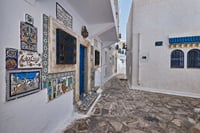 Tour to the Medina of Hammamet and the Spice Market of Nabeul 2