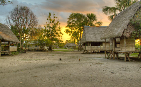 Four-Day Amazon Rainforest Adventure from Iquitos