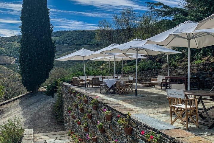 Douro Tour, Lunch at an Award-Winning Winery and Private Cruise