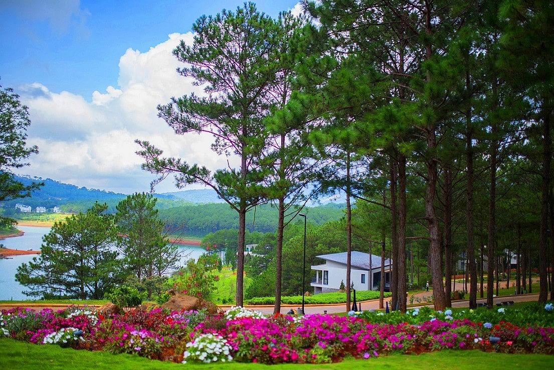 Romantic Honeymoon Tour in Dalat: Nature, Culture & Adventure