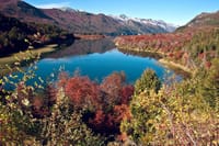 Half-Day Kayak Tour from Bariloche