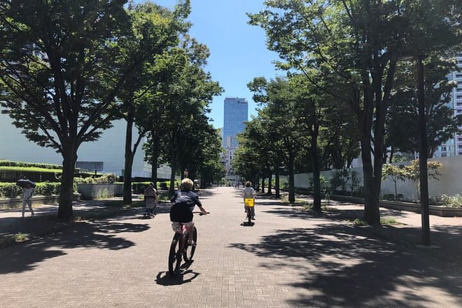 3-Hr Tokyo Bike Tour: Shibuya Highlights, Backstreets/Hidden Gems 9