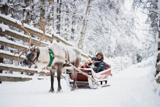 Husky and Reindeer Experience with Snowmobiling
