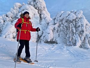 2h Easy snowshoeing, Levi