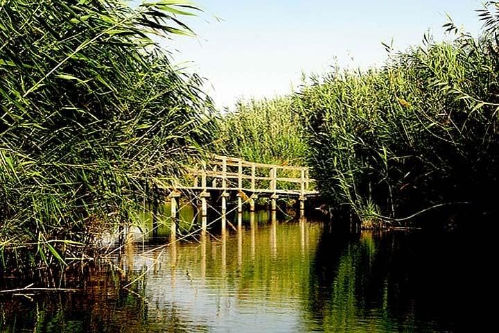 Private Tour of Shaumari Reserve & Azraq Wetland: Wildlife & Nature Adventure