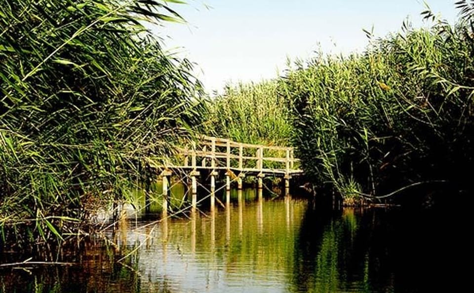 Private Full Day Tour of Shaumari Reserve and Azraq Wetland from Amman