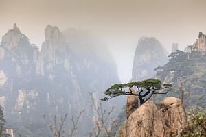 Huangshan City Break, Private Tour