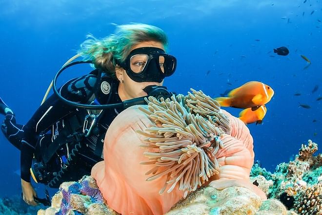 Descubra la aventura de buceo en Dubái