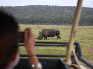 Rhino at Lake Nakuru National Park