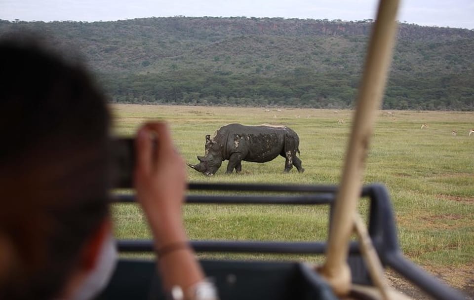 Day Trip to Lake Nakuru National Park from Nairobi