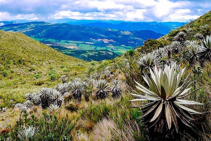 Vista de Frailejones
