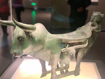 Kunming Yunnan Provincial Museum Private Tour
