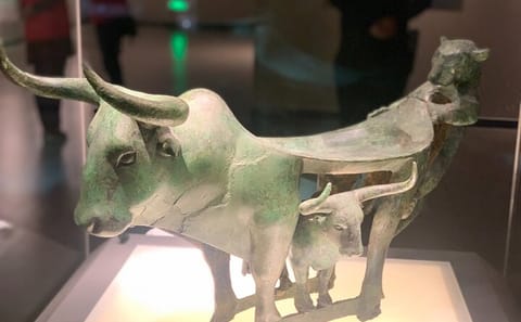 Private Tour of Yunnan Provincial Museum in Kunming