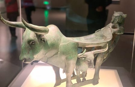 Private Tour of Yunnan Provincial Museum in Kunming