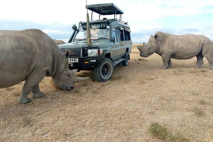 Rhino Safari Adventure in Ol Pejeta, Samburu, Solio & Aberdares