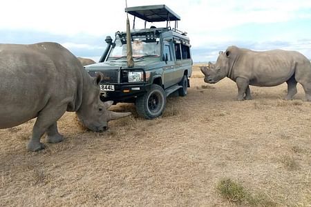 Rhino Safari Adventure in Ol Pejeta, Samburu, Solio & Aberdares