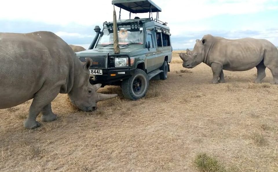 6-Day Rhino Safari Adventure in Kenya's National Parks