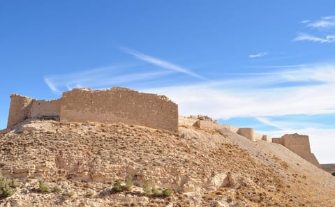Private Day Tour of Karak and Shobak Castles from Amman