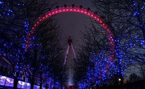 London Eye Experience with Guided City Tour