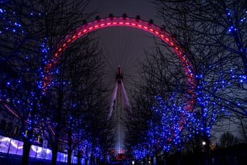 London Eye Experience with Guided City Tour