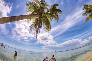 Isla Saona Daily Experience from Punta Cana