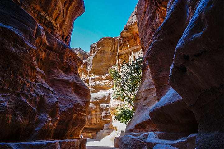 6–Night Private Jordan Classic Cultural Tour from Amman