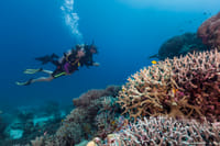 Discover Scuba Diving In Kefalonia 1