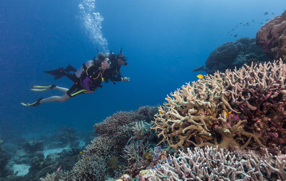 Scuba Diving Experience in Agia Efimia, Greece