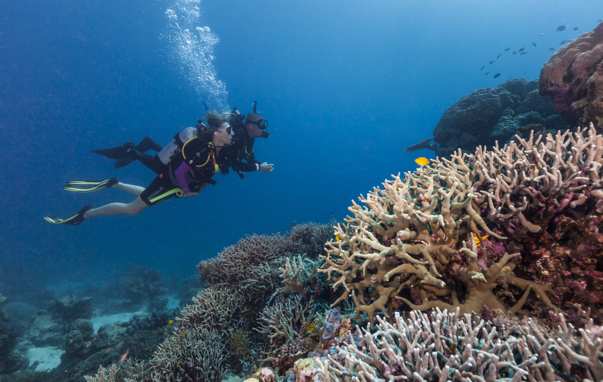 Discover Scuba Diving In Kefalonia