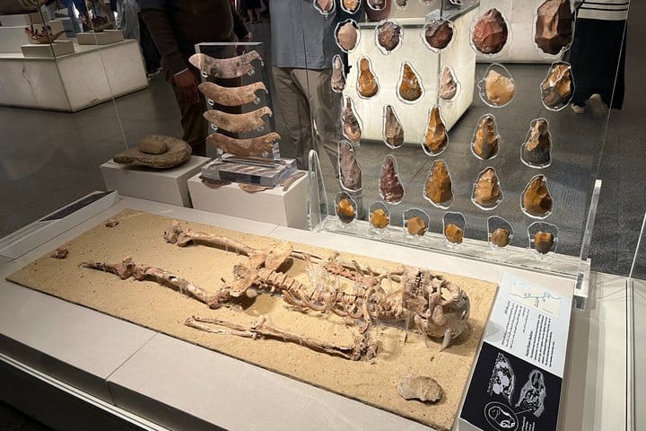 Royal Mummies Museum, Citadel and Khan El Khalili Tour.