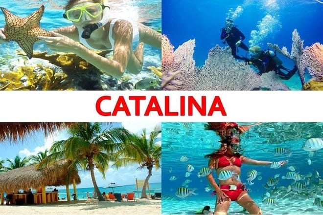 Catalina Island+Snorkeling 2