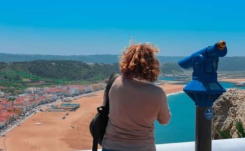 Porto to Lisbon Tour with Aveiro, Coimbra, and Fátima Stops