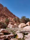 The wonders of Canyons with Camping overnight private from Sharm EL Sheikh 1