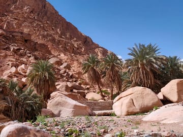 Overnight Camping and Canyon Exploration in Nuweiba, Egypt