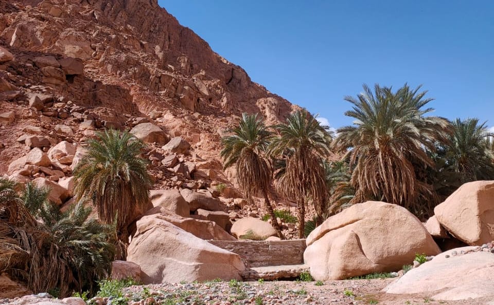 Overnight Camping and Canyon Exploration in Nuweiba, Egypt