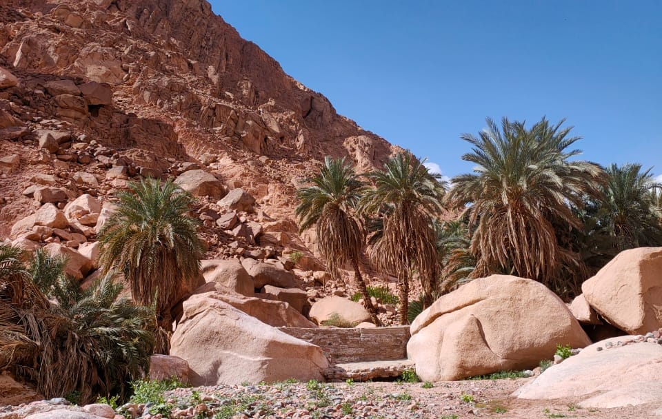 Overnight Camping and Canyon Exploration in Nuweiba, Egypt