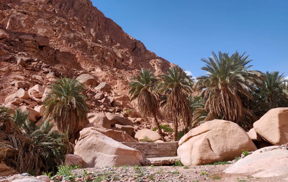 The wonders of Canyons with Camping overnight private from Sharm EL Sheikh