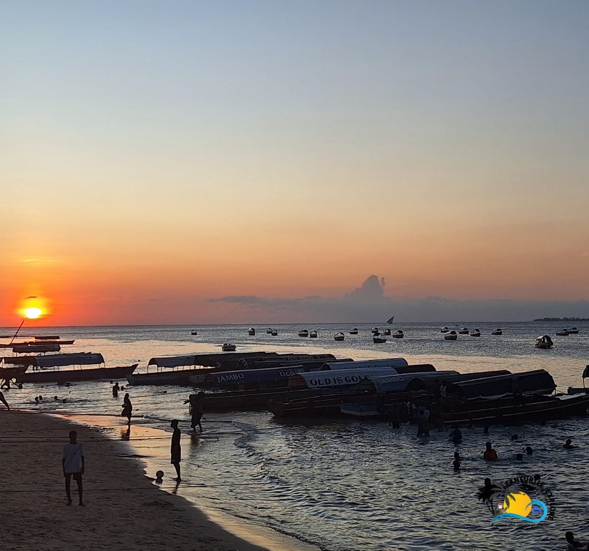 Zanzibar Safari Blue Snorkeling Trip with Lunch