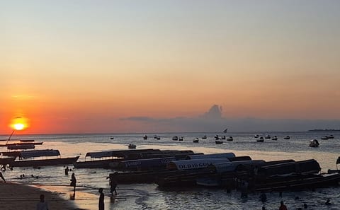 Zanzibar Sunset Dhow Cruise with Snacks and Music from Stone Town