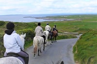 Horse riding the mountain trail. Clare. Guided, 2 hours 3