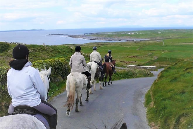 Horse riding the mountain trail. Clare. Guided, 2 hours 3