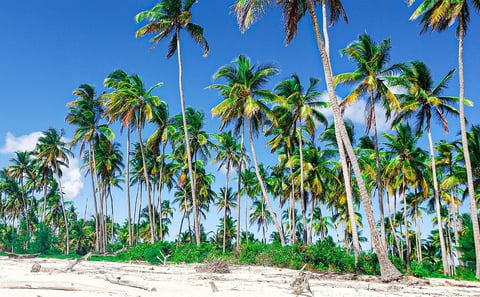 Marimbani Sandbank Tour, Mafia Island