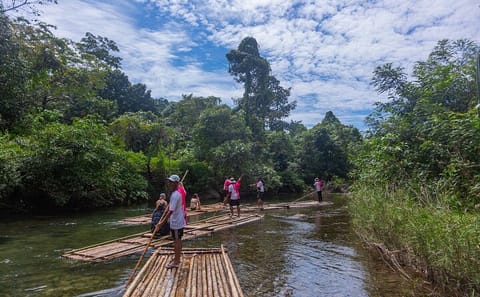 2 Days Raft, Ride, & Rescue Elephant Program in Khaolak