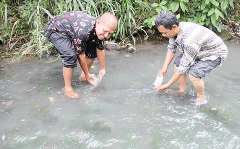Yogyakarta City Walking Tour with Batik Workshop
